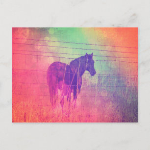 Carte Postale Cheval Dreams