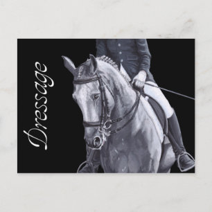 Carte postale Cheval Dressage Duo noir et blanc