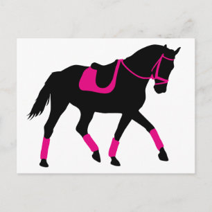 Carte Postale Cheval Dressage Précieux