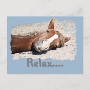 Carte Postale Cheval drôle : Relax