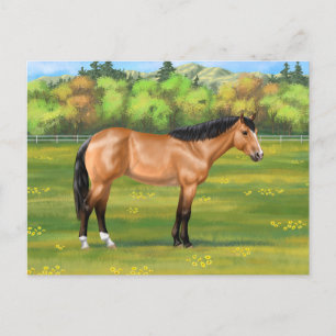Carte Postale Cheval du Quartier des Dun Buckskin