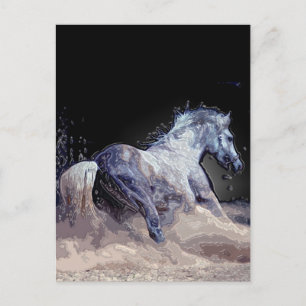 Carte Postale Cheval en action