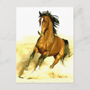 Carte Postale Cheval en course