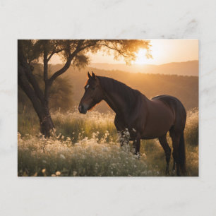 Carte Postale Cheval en paysage