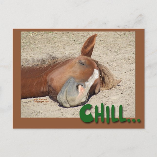 Carte Postale Cheval endormi Sourire : Refroidissement (Devant)
