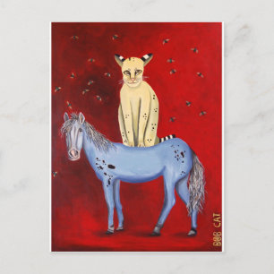 Carte Postale Cheval équitation Bob