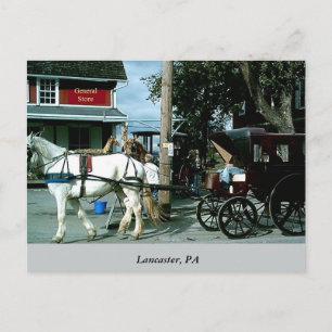 Carte Postale Cheval et Buggy