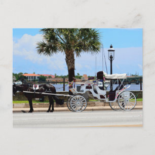 Carte Postale Cheval et calèche St. Augustine, Floride.
