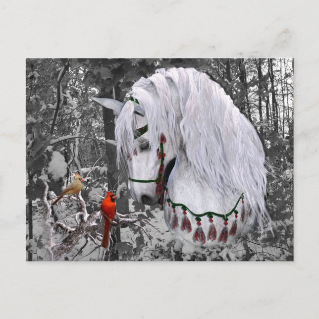 Carte postale Cheval et Cardinaux de Noël (Devant)