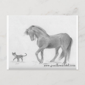 Carte postale Cheval et Chat