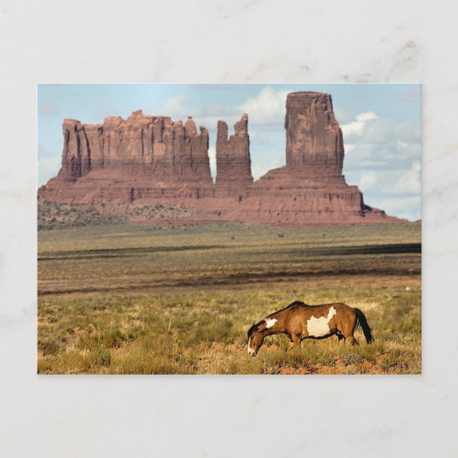 Carte Postale Cheval Grading, Vallée du Monument, UT (Devant)