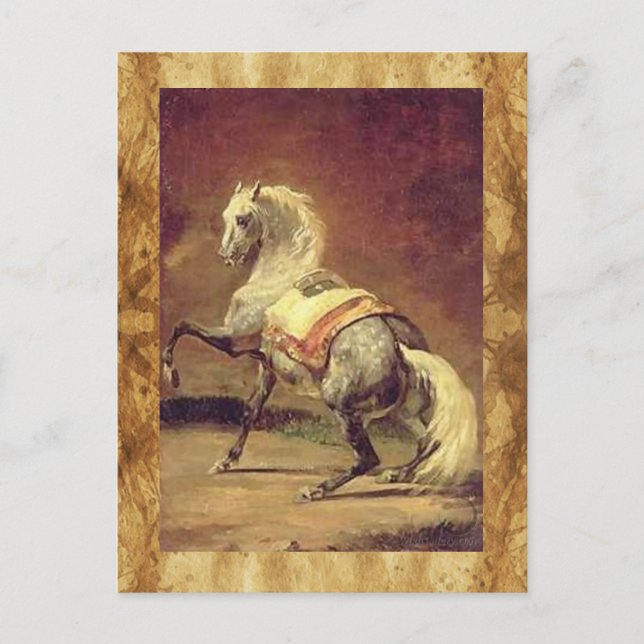 CARTE POSTALE CHEVAL GRAY REMPLI (Devant)