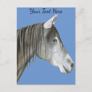 Carte Postale Cheval gris