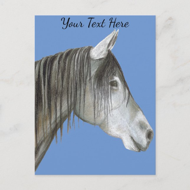 Carte Postale Cheval gris (Devant)