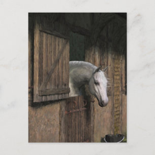 Carte postale Cheval gris à la porte de l'écurie