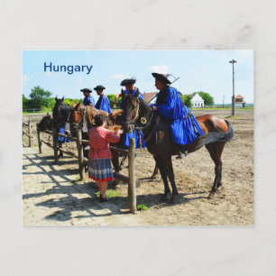 Carte Postale cheval hongrois Hongrie