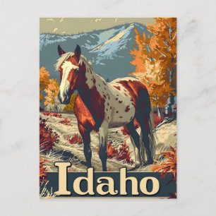 Carte Postale cheval Idaho Appaloosa