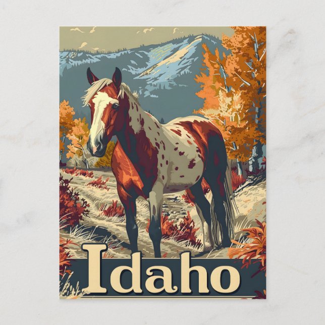 Carte Postale cheval Idaho Appaloosa (Devant)
