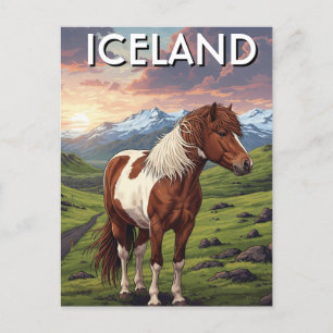 Carte Postale Cheval islandais en Islande Travel