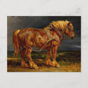Carte Postale Cheval - James Ward