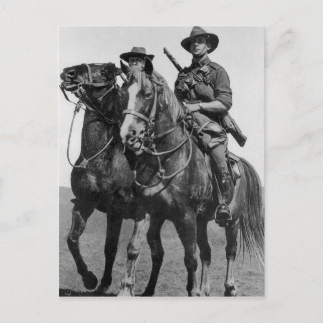 Carte Postale Cheval léger australien (Devant)