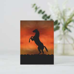 Carte Postale Cheval Libre Au Coucher Du Soleil