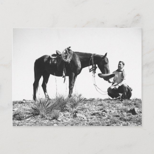 Carte Postale Cheval mangeant du casquette d'un cowboy. (Devant)