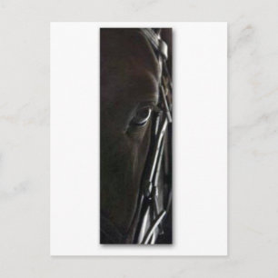 Carte Postale cheval noir