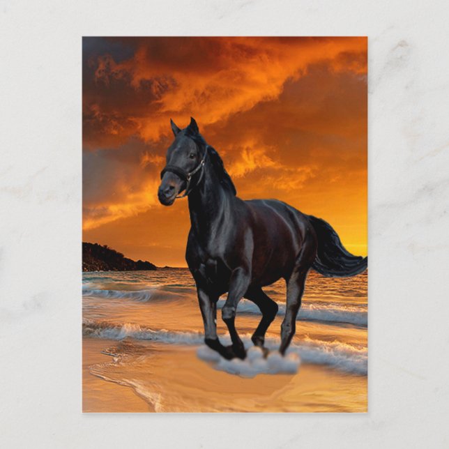 CARTE POSTALE CHEVAL NOIR, ESCALION NOIR, FONCTIONNEMENT ET GRAT (Devant)