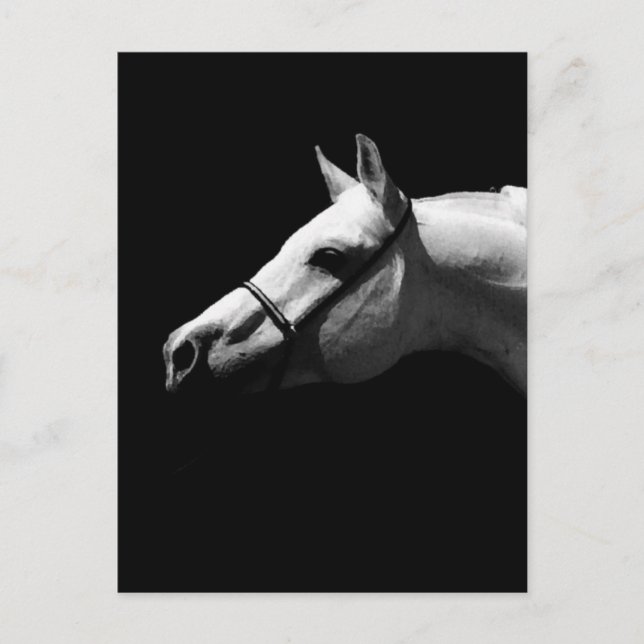 Carte Postale Cheval noir et blanc (Devant)