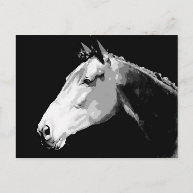 Carte Postale Cheval noir et blanc (Devant)