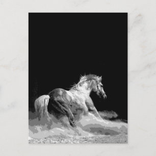 Carte Postale Cheval noir et blanc en action