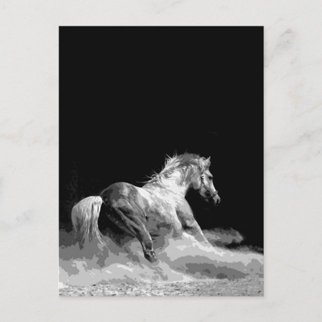 Carte Postale Cheval noir et blanc en action (Devant)