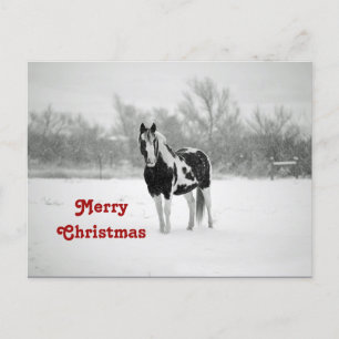 Carte Postale Cheval noir et blanc Photo neige Noël