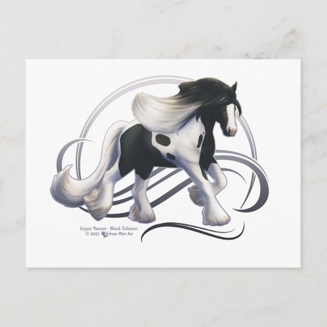 Carte Postale Cheval noir Tobiano Gypsy Vanner (Devant)