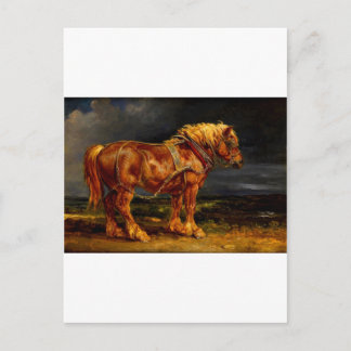 Carte Postale cheval-photos-11