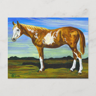 Carte postale Cheval Pinto/Paint