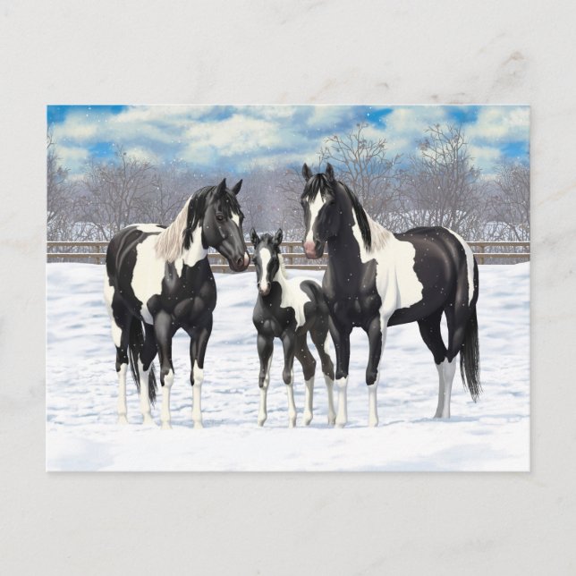 Carte Postale Cheval Pinto Quarter Noir Chevaux Paint Chevaux Da (Devant)