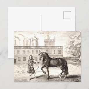 Carte Postale Cheval PRE andalou - Gravure espagnole Vintage