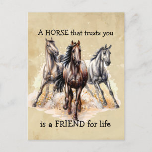 Carte Postale CHEVAL que vous croyez AMI à vie Citation