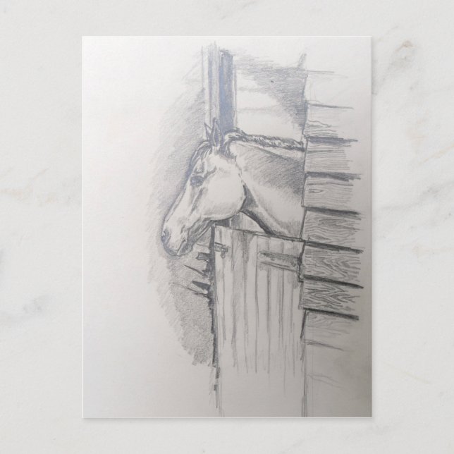 Carte Postale Cheval regardant sur la porte stable (Devant)