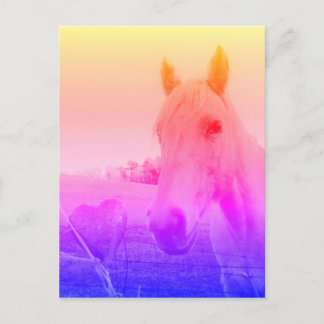 Carte Postale Cheval rose violet & Coeur