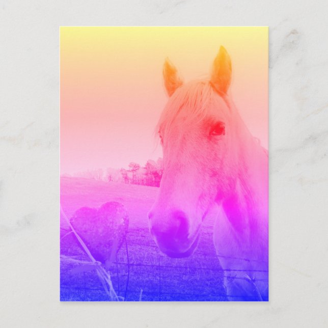 Carte Postale Cheval rose violet & Coeur (Devant)