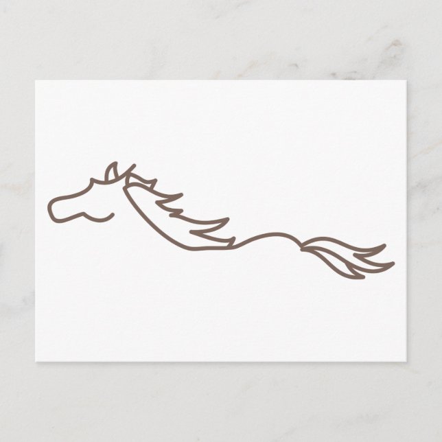 Carte Postale Cheval sauvage (Devant)