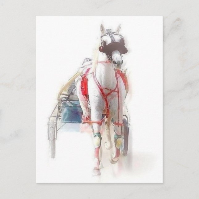 Carte Postale Cheval standard (Devant)