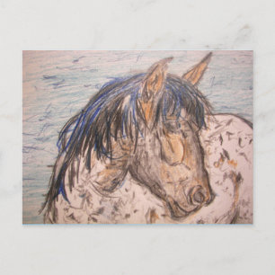 Carte Postale Cheval tacheté esprit sauvage