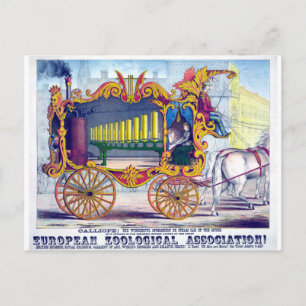 Carte Postale Cheval tiré Calliope instrument de musique!