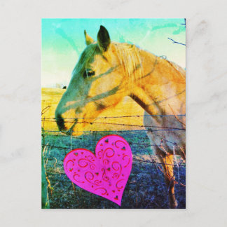 Carte Postale Cheval valentine Reto vintage