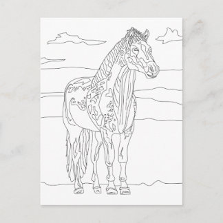 Carte Postale Cheval Vivant à la campagne