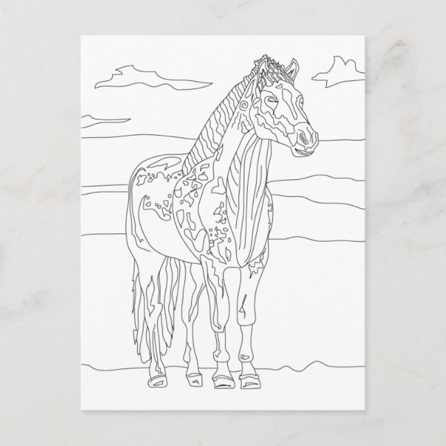 Carte Postale Cheval Vivant à la campagne (Devant)